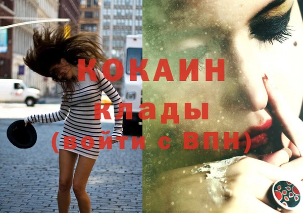 дмт Лиски