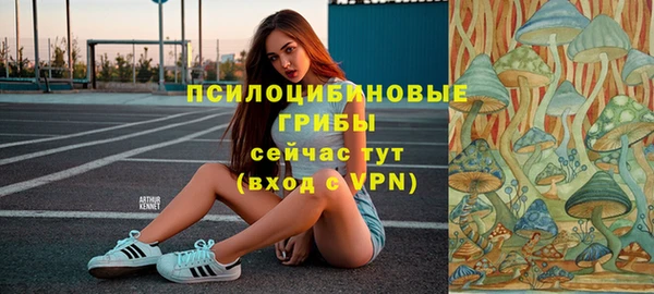 соль ск Липки
