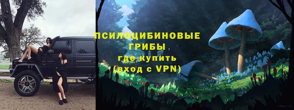 соль ск Липки