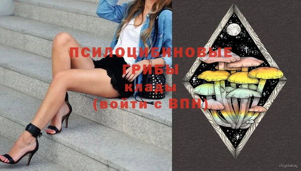 дмт Лиски
