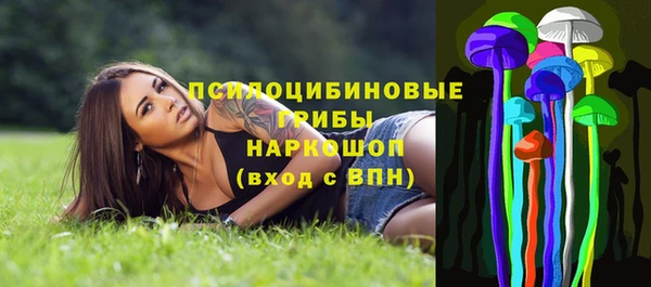 дмт Лиски