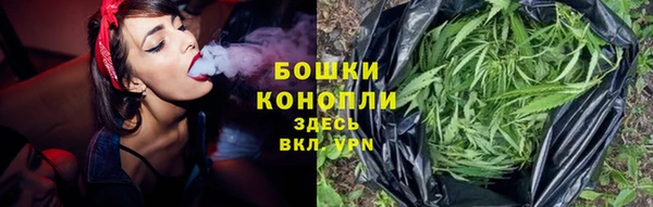 дмт Лиски