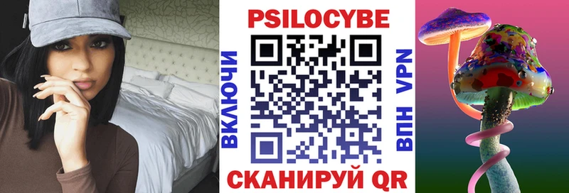 магазин    Люберцы  Галлюциногенные грибы Cubensis 